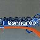 Bonnaroo Music Festival 2003
